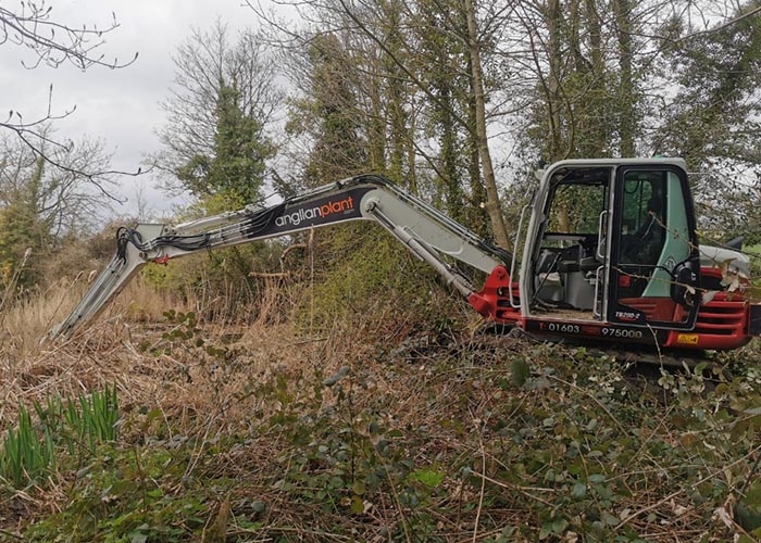 Vegetation Clearance Norwich